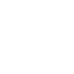 polo-us-1